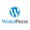 Website Desining - WordPress - Jaipur - GraffitiWorld