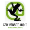 Screaming Frog SEO Spider